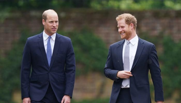 What Prince Williams subtle nod to Prince Harry actually means