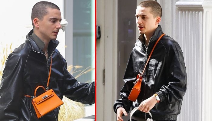 Timothee Chalamet revives centuries old fashion with luxury accessory