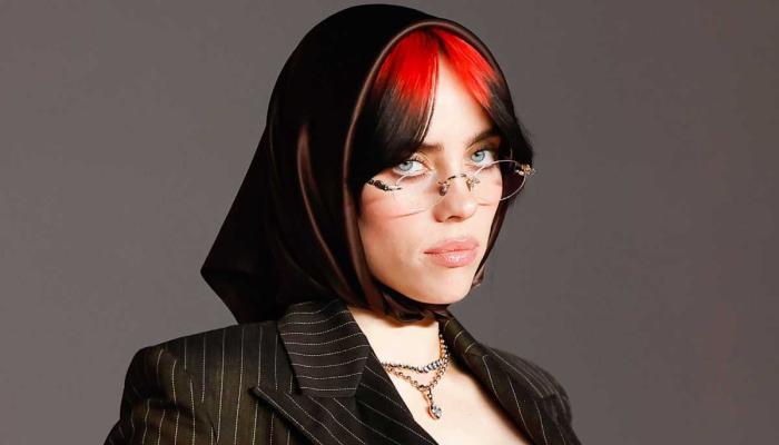 Billie Eilish faces dangerous situation at Miami concert