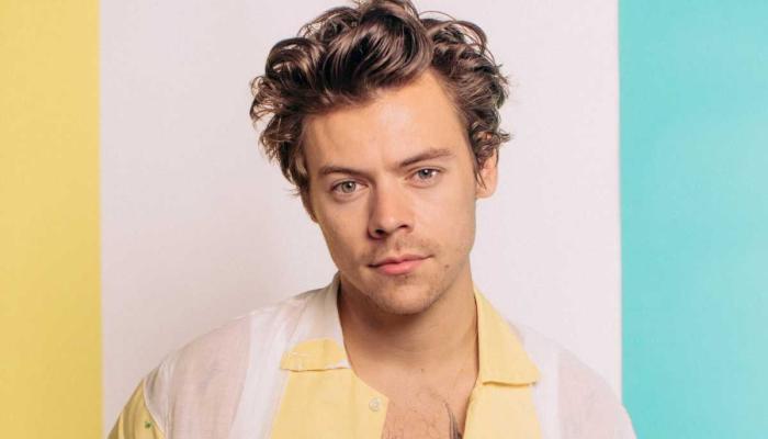 Harry Styles leaves fans guessing about new album: Pregnant with Hs4