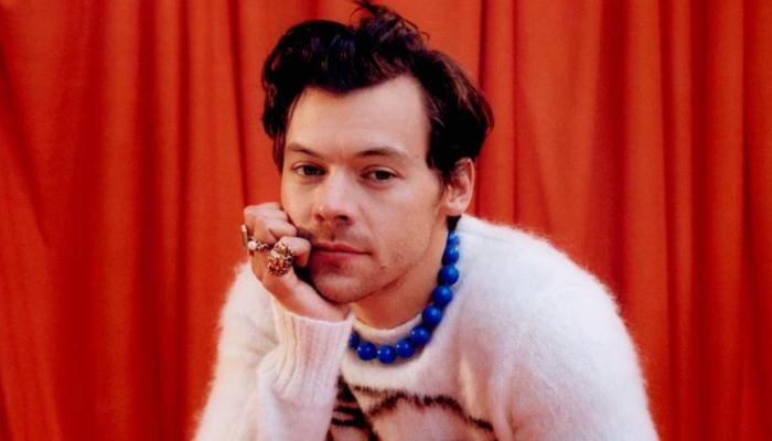Harry Styles seems in good spirits after Liam Paynes death anniversary