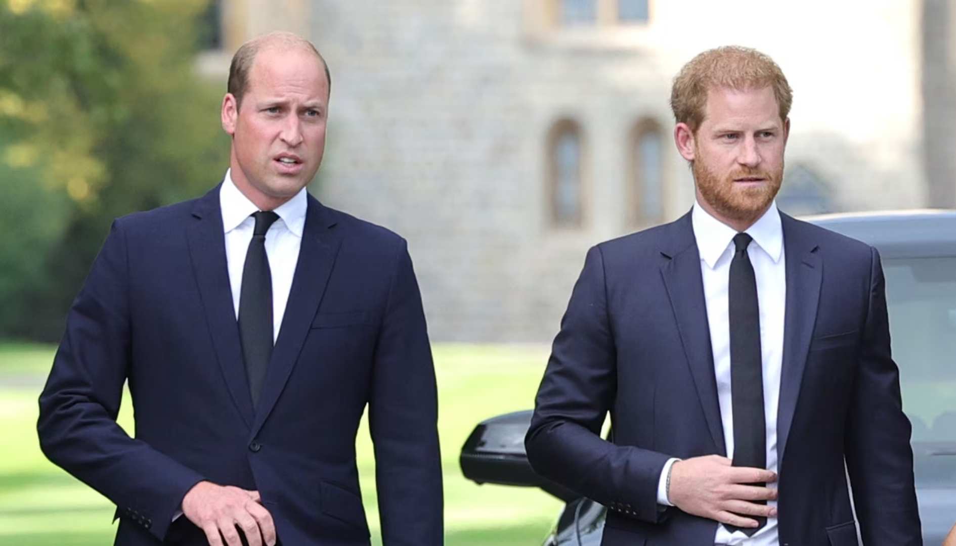 Prince William moved by Harry’s dedication