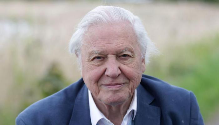 Sir David Attenborough bags milestone achievement at Daytime Emmys