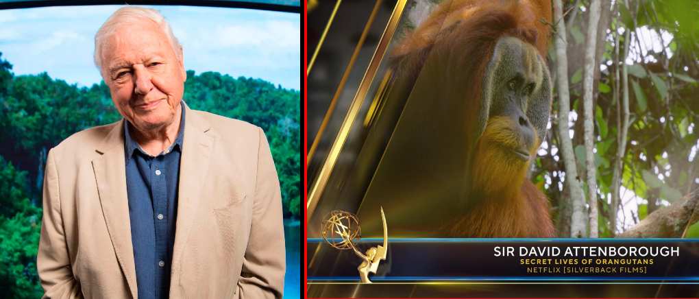 Sir David Attenborough bags milestone achievement at Daytime Emmys