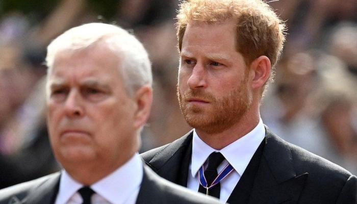 Prince Harrys scathing remark about Prince Andrews scandal resurfaces