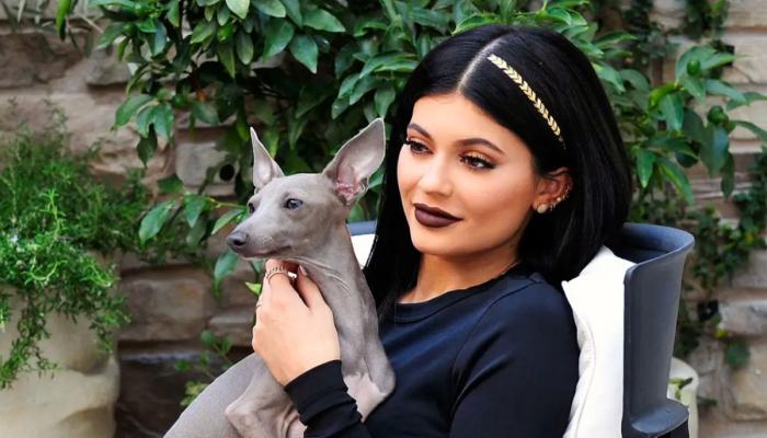 Kylie Jenner’s sweet tribute to her Italian greyhound, Norman
