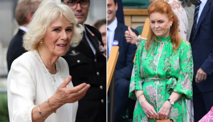 Sarah Ferguson hits back after Queen Camilla snubbed her over childrens book