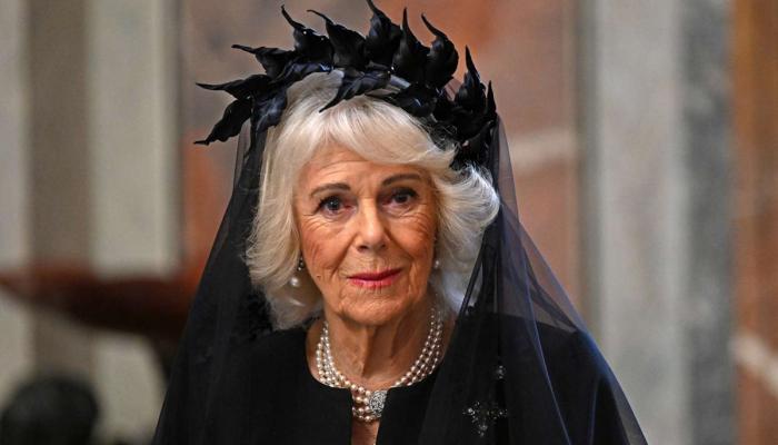 Queen Camilla defended by photographer after getting targeted online
