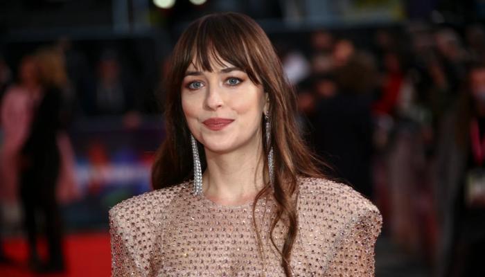 Dakota Johnson claps back at criticism over her sheer dressing