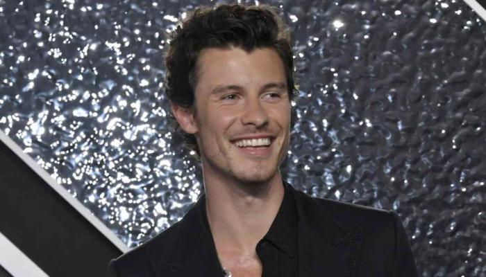 Shawn Mendes top five hits