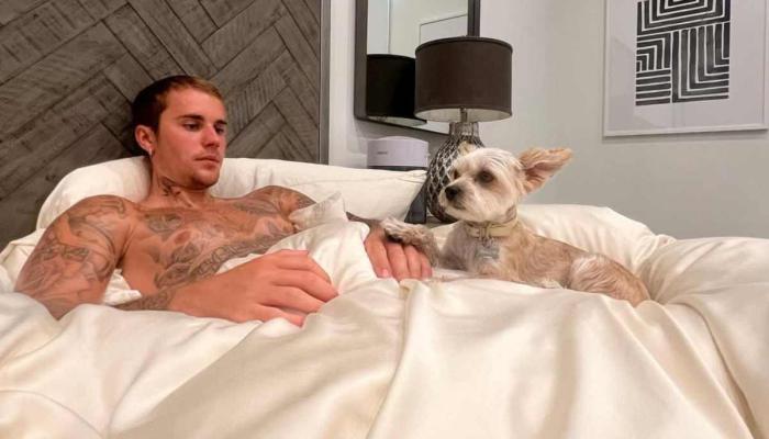 Justin Bieber raises question with bizarre pet video: Poor dog