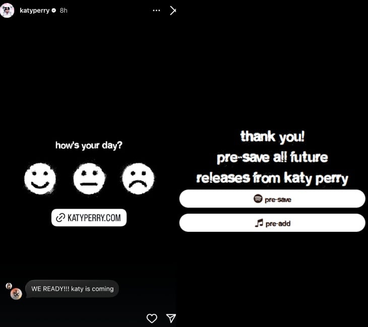 Katy Perry shares special surprise for fans on official website