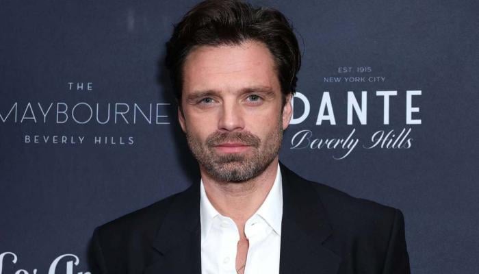 Sebastian Stan opens up about his efforts for new movie