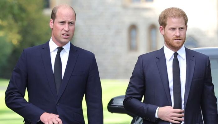Prince Harry, Prince Williams rift worse than ever after latest move
