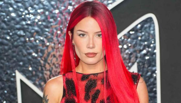 Halsey sparks fan fury after facing harassment during concert