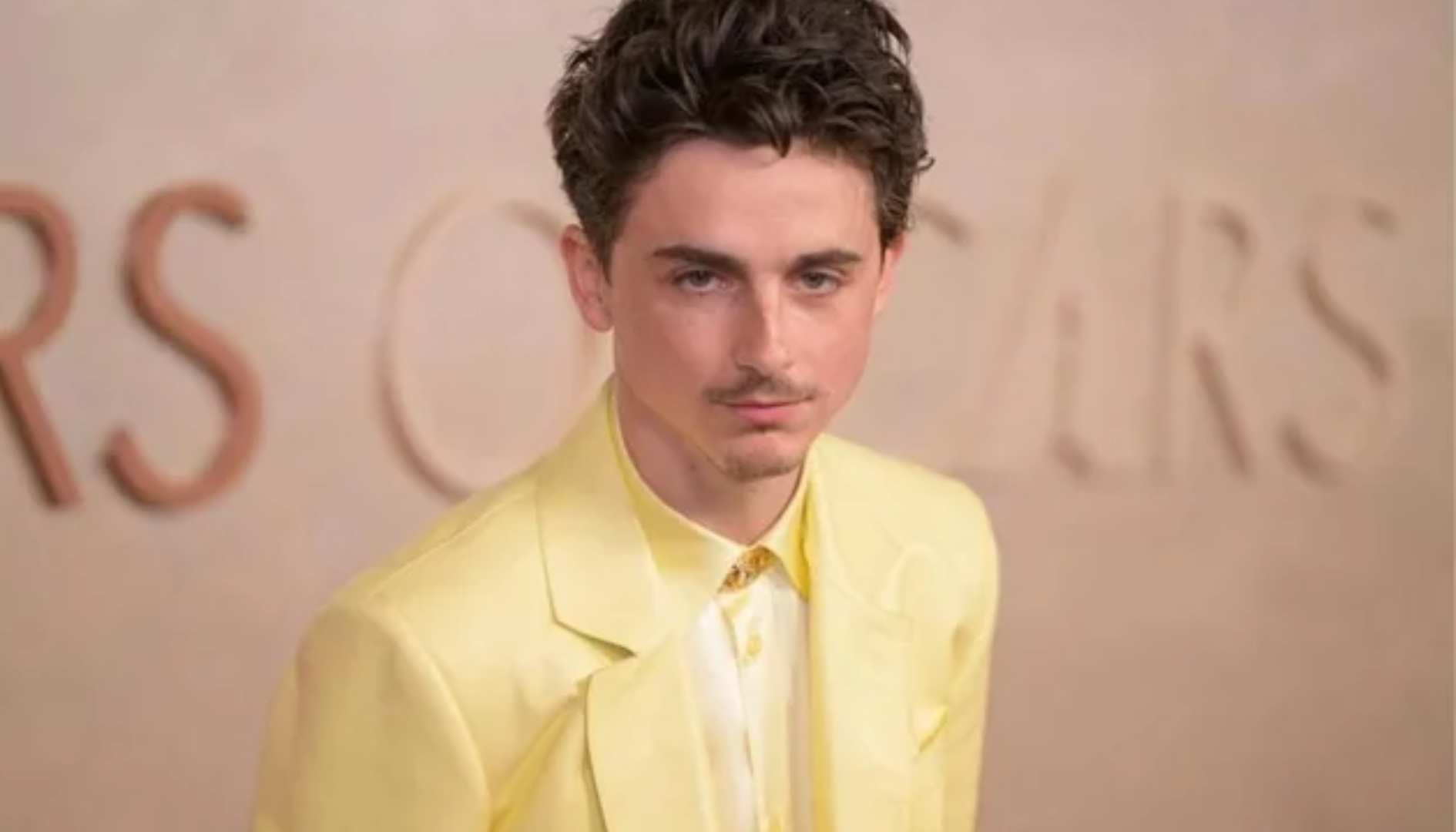 Timothée Chalamet reflects on Oscar snub