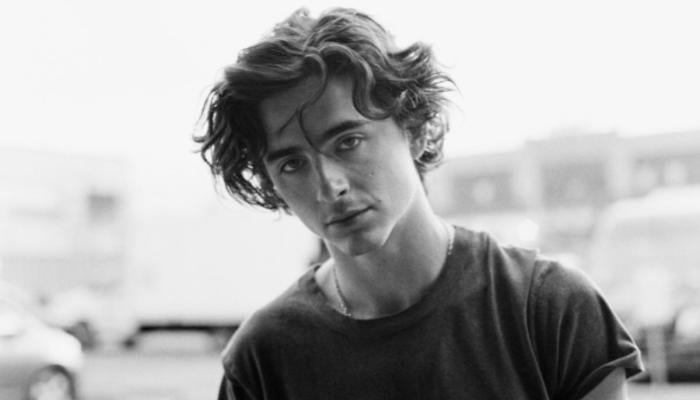 Timothée Chalamet receives backlash for ‘crying’ about losing Oscar