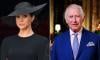 Why King Charles would support Meghan Markle's viral Instagram post