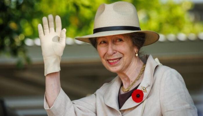 Princess Anne called the ultimate antidote to embattled Andrew amid fresh scandal