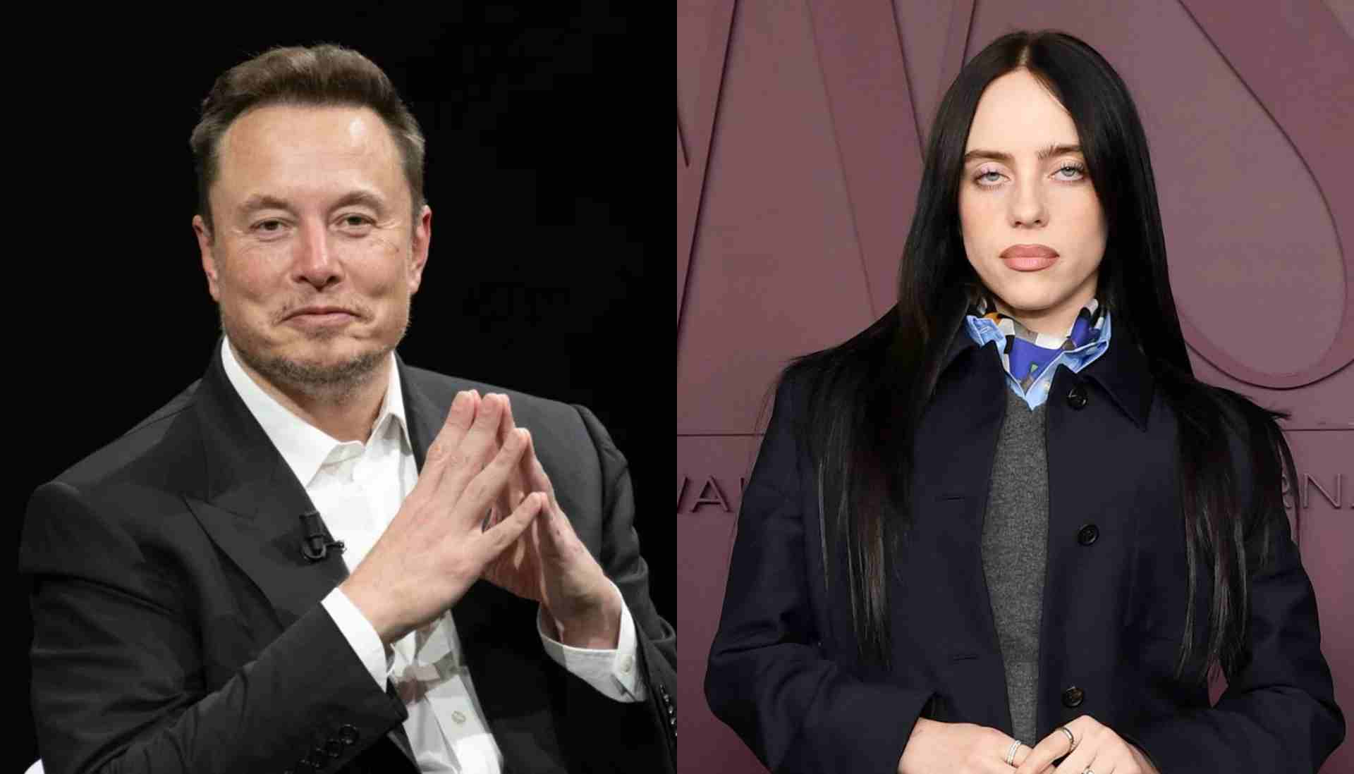 Elon Musk takes jab at Billie Eilish