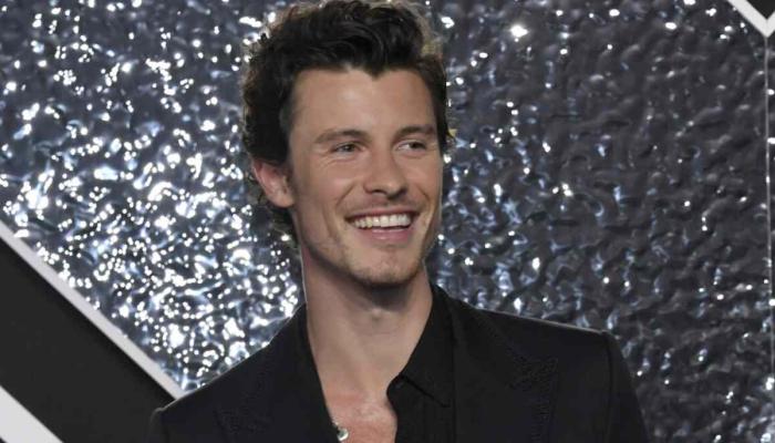 Shawn Mendes sparks romance rumors with mystery woman