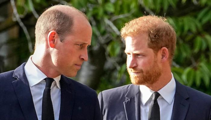 Prince William leaves Prince Harry behind as he stacks up millions in net worth
