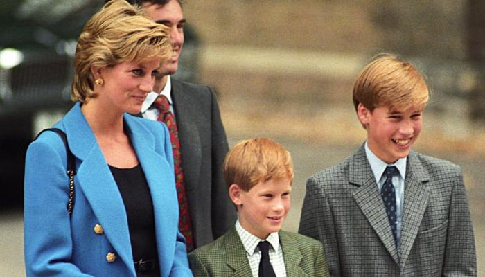 Princess Diana made painful confession about William, Harry before her death