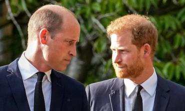 Prince William leaves Prince Harry behind as he stacks up millions in net worth 