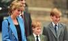 Princess Diana made 'painful' confession about William, Harry before her death