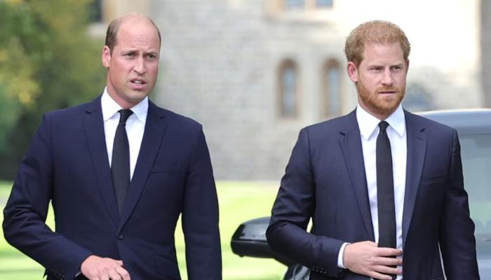 Prince William and Prince Harry likely to have uncomfortable reunion next year in the US