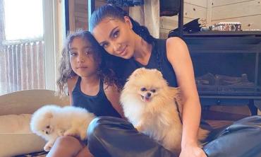 Kim Kardashian called out for puppy purchase