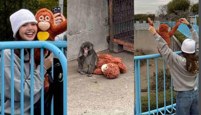 BLACKPINK Lisa bonds with monkey Punch in latest outing