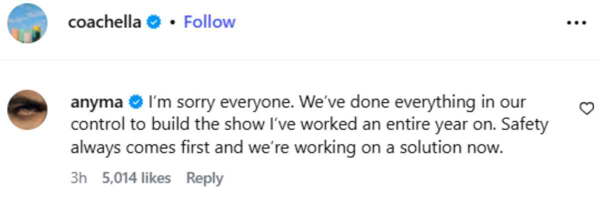 Anyma reacts after Coachella cancellation shocks festival crowd