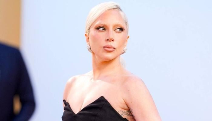 Lady Gagas kind gesture towards a photographer wins fans hearts