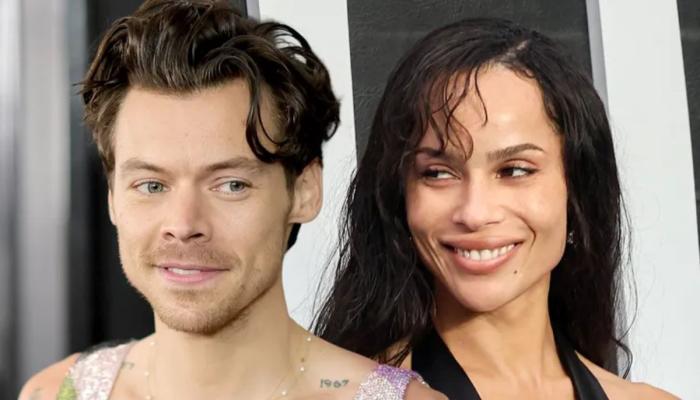 Harry Styles and Zoë Kravitz share sweet picnic date after Wembley stage scare