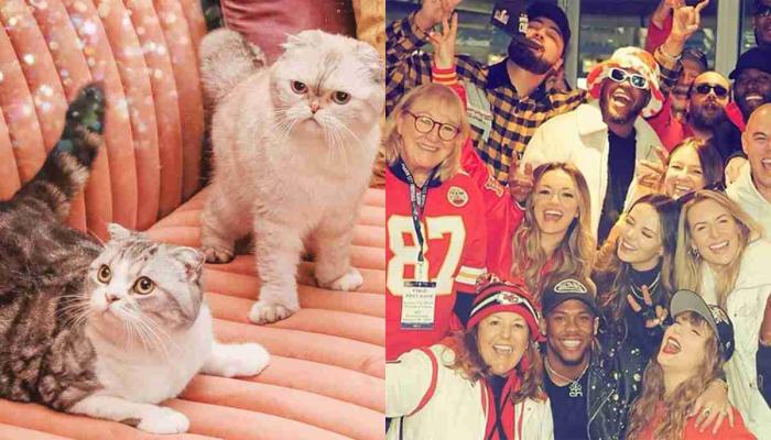 Taylor Swift, Travis Kelce wedding: Everything you need to know