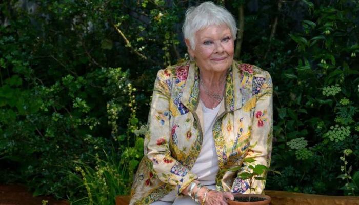 Dame Judi Dench confesses sending dead rat to neighbour as revenge