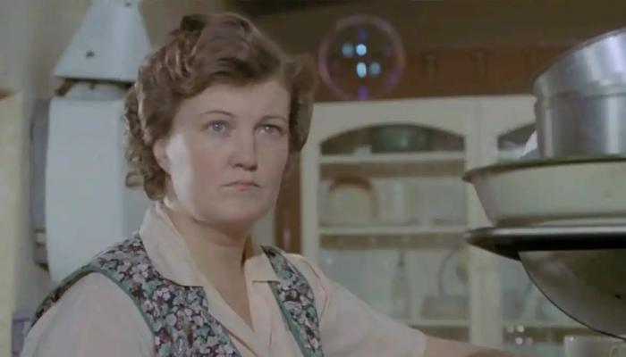 Home Alone star Brenda Fricker dies at 81 after celebrated film and TV career