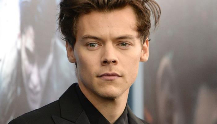 Harry Styles cancels Brazil concert hours before show due to health issue
